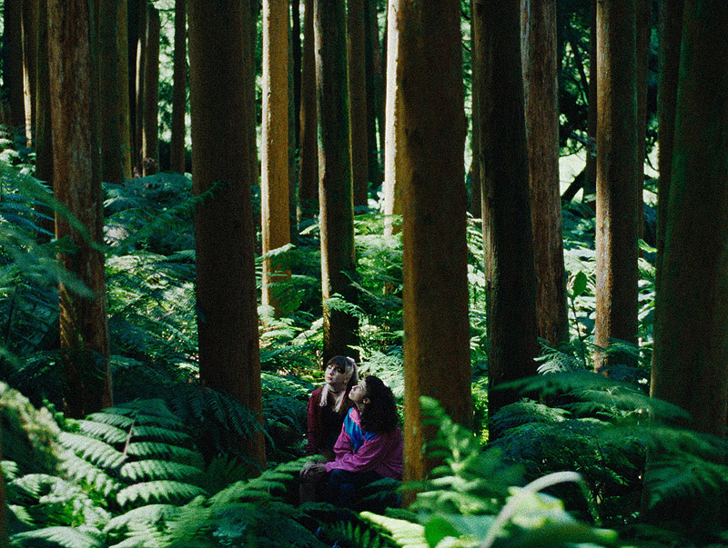 Lobo & Perro - fotograma de la película, retrato de chica en un bosque
