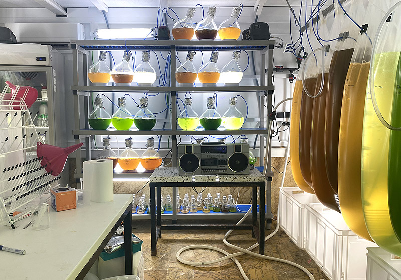 arte y caos climatico - laboratorio con muchos recipientes con líquidos de colores
