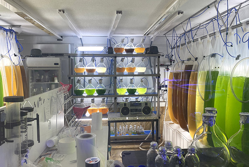 arte y caos climatico - laboratorio con muchos recipientes con líquidos de colores