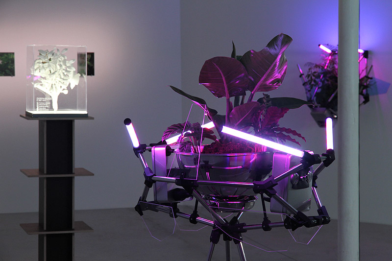 arte y caos climatico - instalación artística con luces y plantas