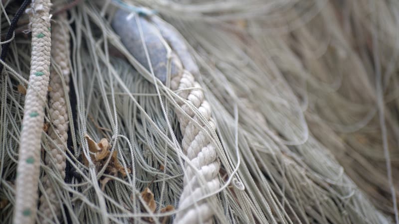 Anoxia de Fito Conesa, cuerdas de barcos de la costa del mar menor