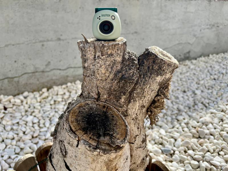 Instax Pal: la nueva cámara de Instax en un tronco de árbol junto al visor.