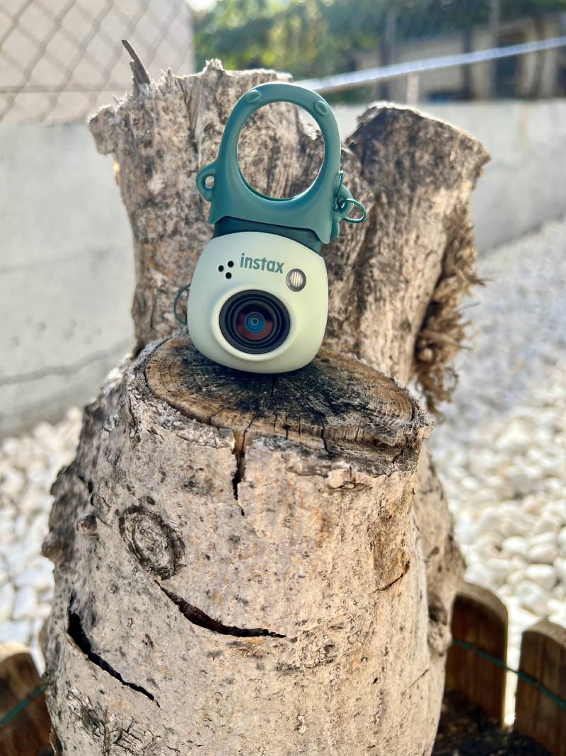 Instax Pal: la nueva cámara de Instax en un tronco de árbol junto al visor.