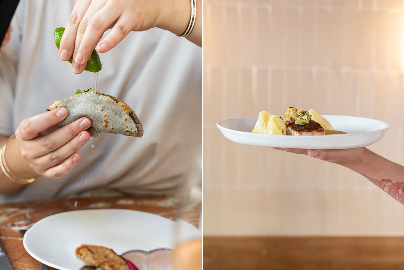 Restaurante Her: Tacos de lechón y Salmón noruego sobre emulsión de coliflor, ensaladita de hinojo, menta y albahaca