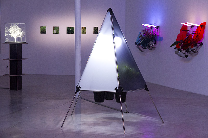 Donatien Aubert - instalación artística con plantas y neones