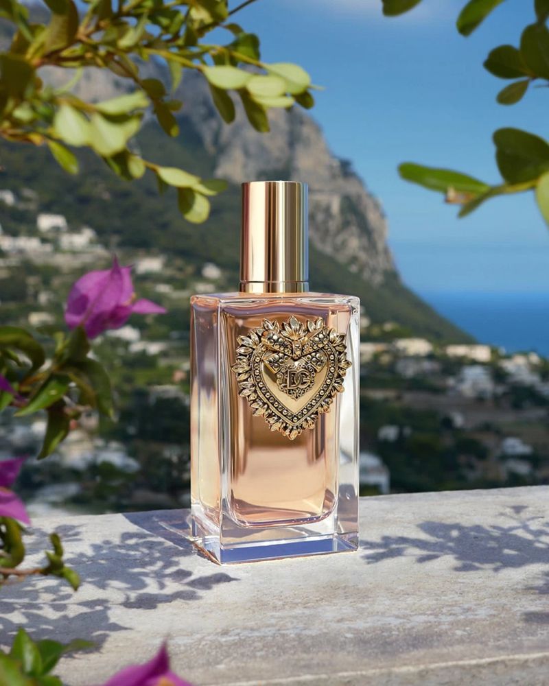Devotion Dolce Gabbana perfume
