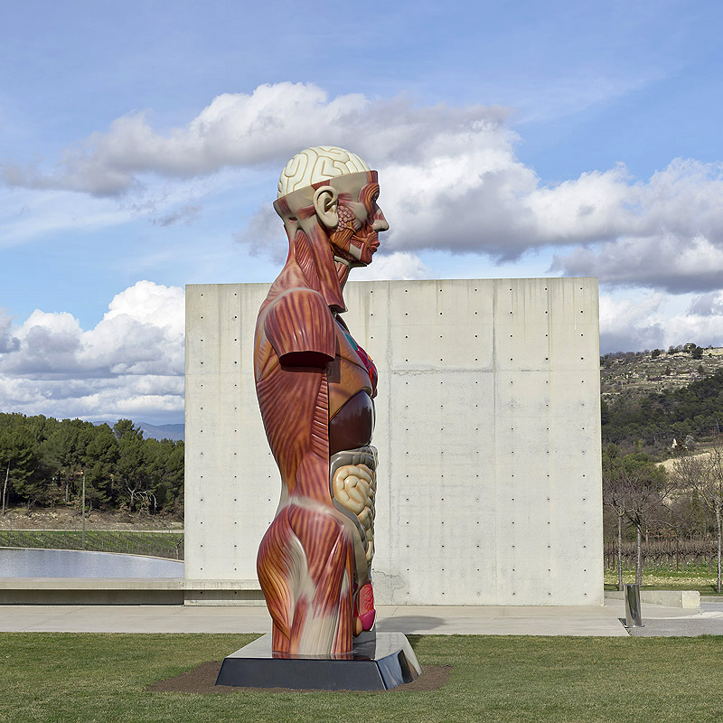 Damien Hirst. Imagen de la exposición con escultura de un hombre visto por debajo de la piel grande en exterior.