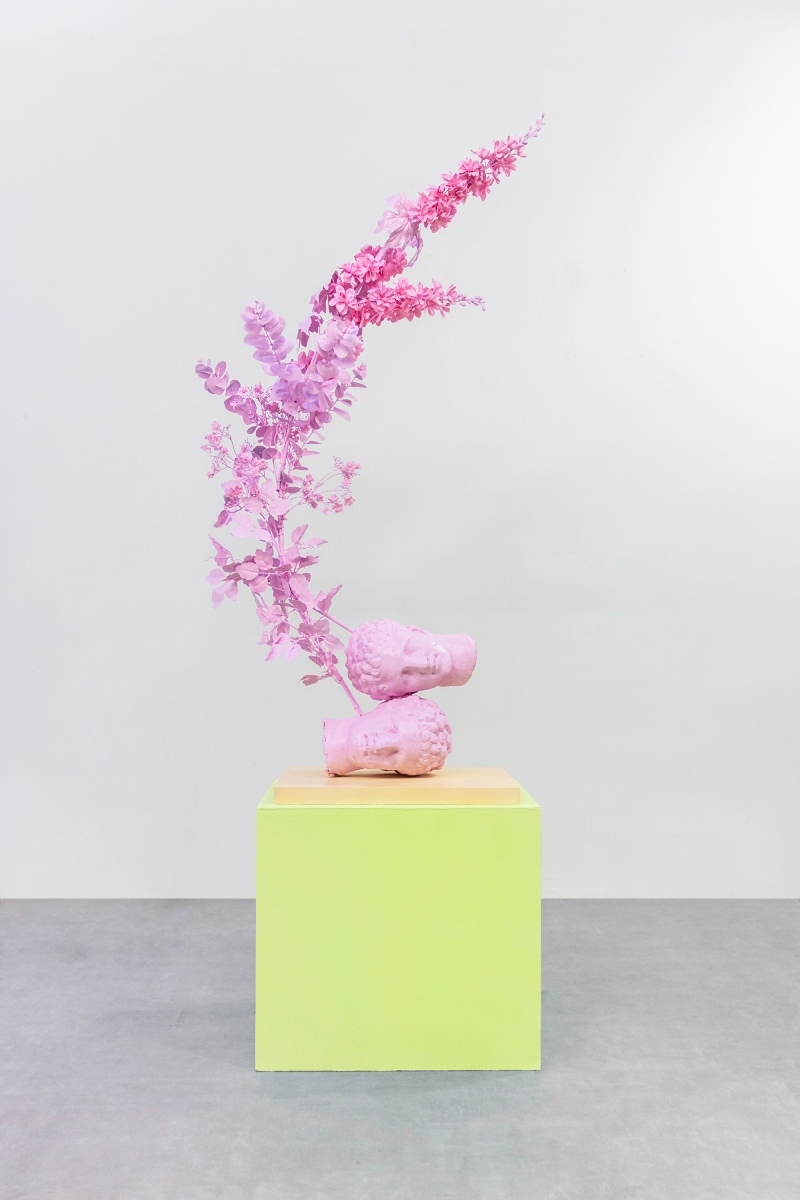 Leo Fourdrinier. Imagen de una planta pintada de rosa con dos cabezas de piedra también rosas.