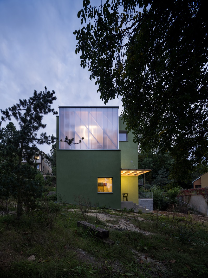 Aoc Architekti-The Green House: fachada verde lateral con claraboya noche