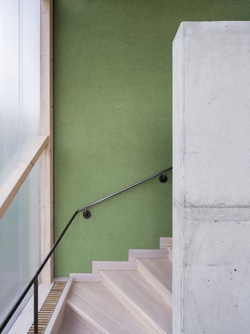 Aoc Architekti-The Green House: escalera pintada verde