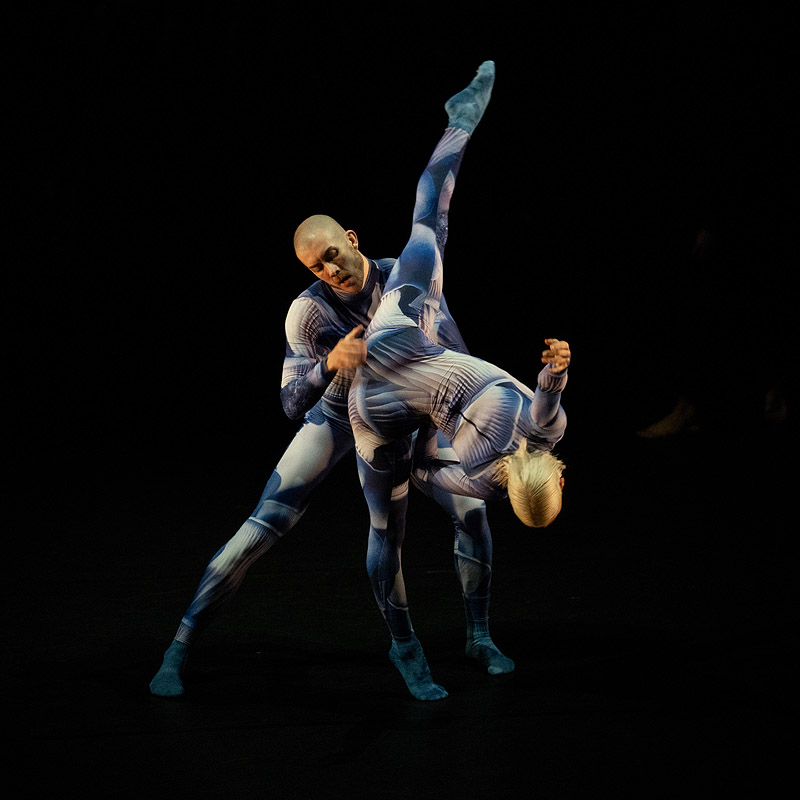 Madrid en Danza 2024 - imagen de compañia de danza contemporánea en acción