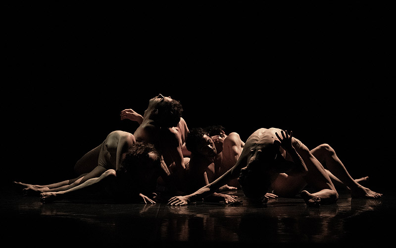 Madrid en Danza 2024 - imagen de compañia de danza contemporánea en acción