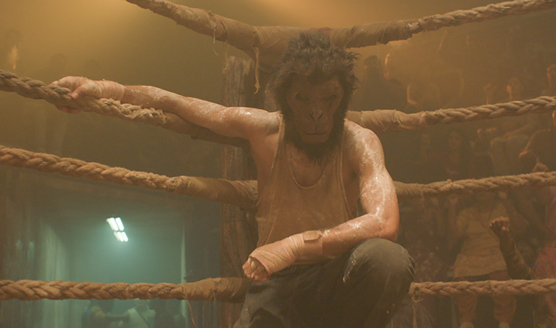 MONKEY MAN - fotograma de la película, un hombre disfrazado de simio en un ring de boxeo