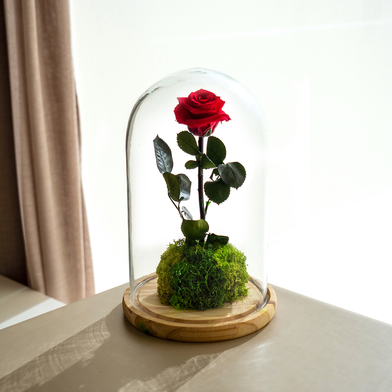 Ideas para regalar en Sant Jordi: Garden Rose, de Omotesandō