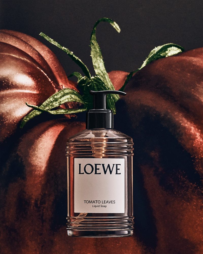loewe perfumes día de la madre regalos