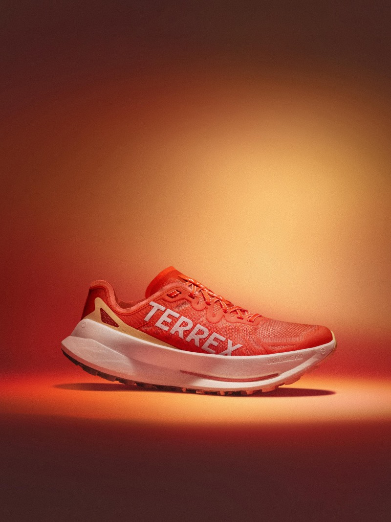 Nuevas zapatillas para correr en sendero de adidas Terrex