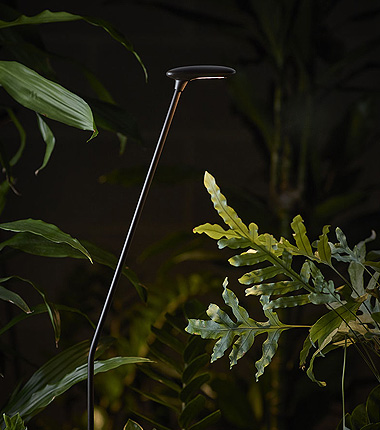 Birdie: luminarias de Bover que se funden con la naturaleza