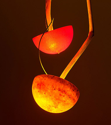 Vibrant Matter de Mika Rottenberg en Hauser & Wirth Menorca