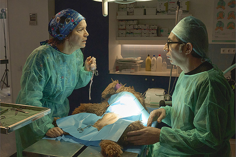 Las Irresponsables: una comedia que celebra la amistad