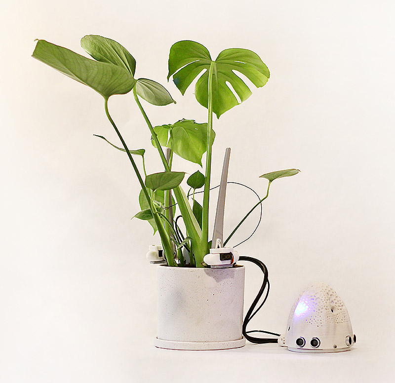 Planta conectada a un dispositivo