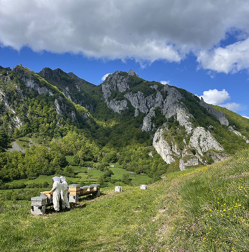 Vista del paisaje donde se prueba la pieza