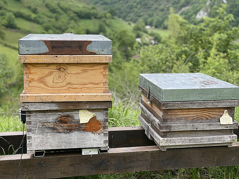 Detalle de pieza báscula de pieza