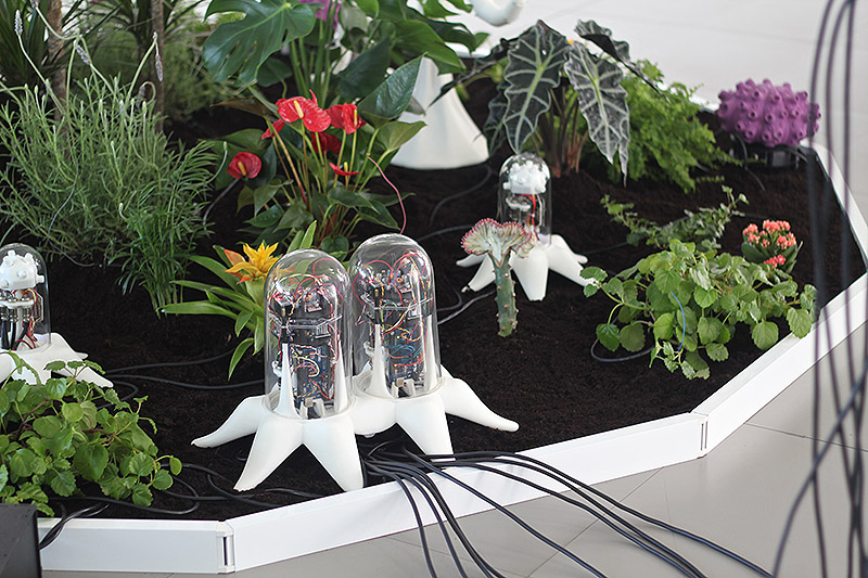 Detalle de instalación con plantas y tecnología