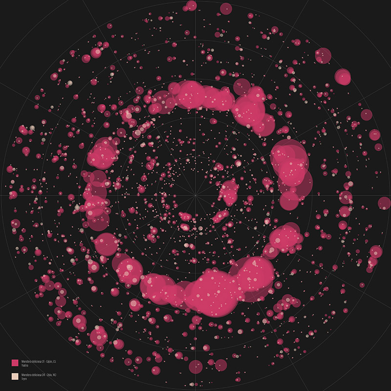 Imagen microscópica en fucsias y negro