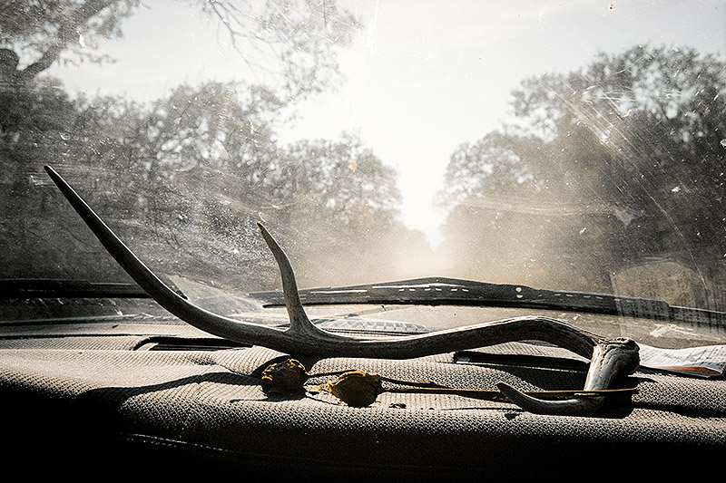 Exposición Look Again de Alex Bex en la galería Gaby Vera