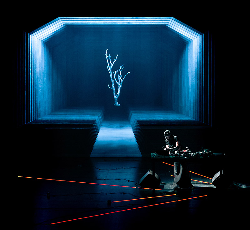 ARS_NATURA_janv2025_photo-de-Quentin-Chevrier_bassedef-4