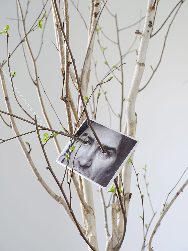 Vista de la exposición de Giuseppe Penone en la Serpentine Gallery