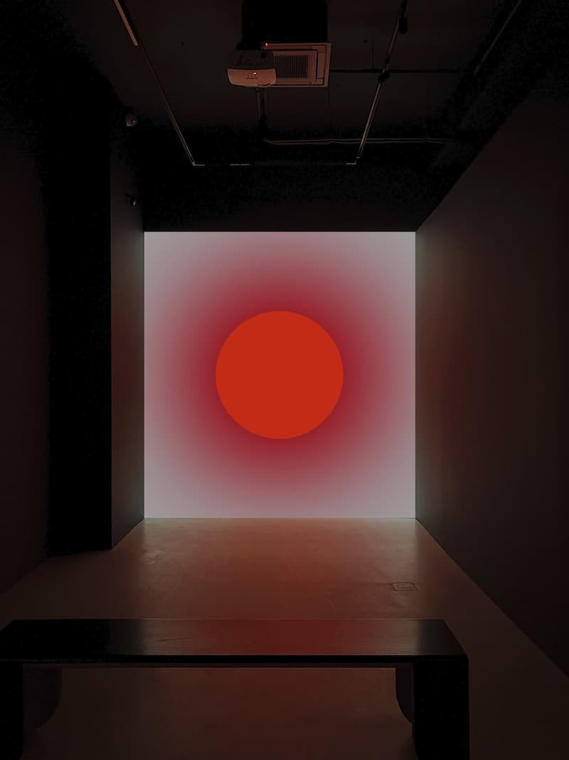 Pedro Torres vista instalacion