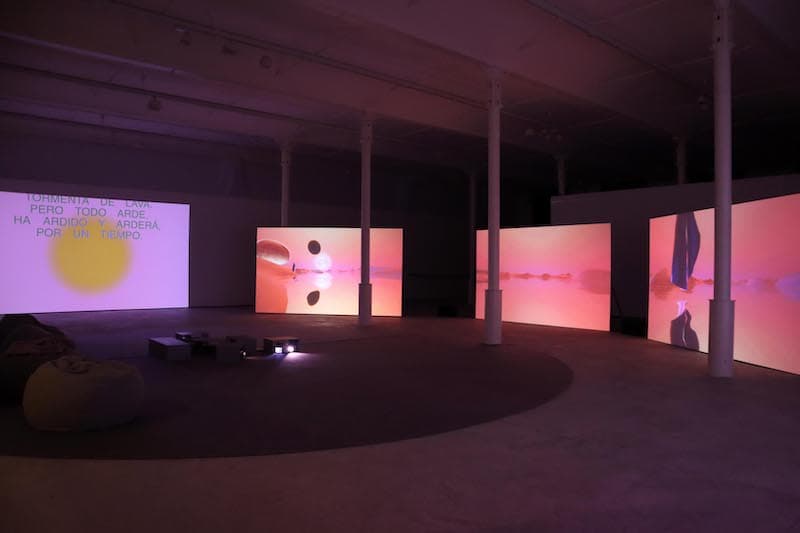 Pedro Torres vista instalacion