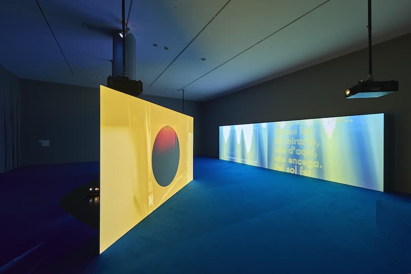 Pedro Torres vista instalacion en MACBA