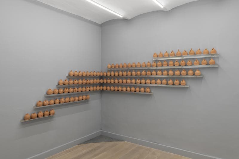 Pedro Torres vista instalacion