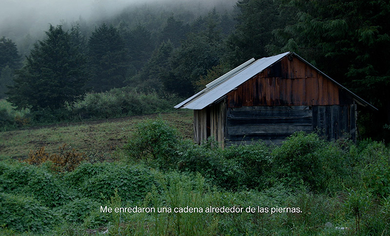 Festival Proyector - fotograma de video - una cabaña en el bosque