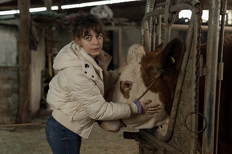 Fotograma de la serie "Animal" protagonizada por Luis Zahera