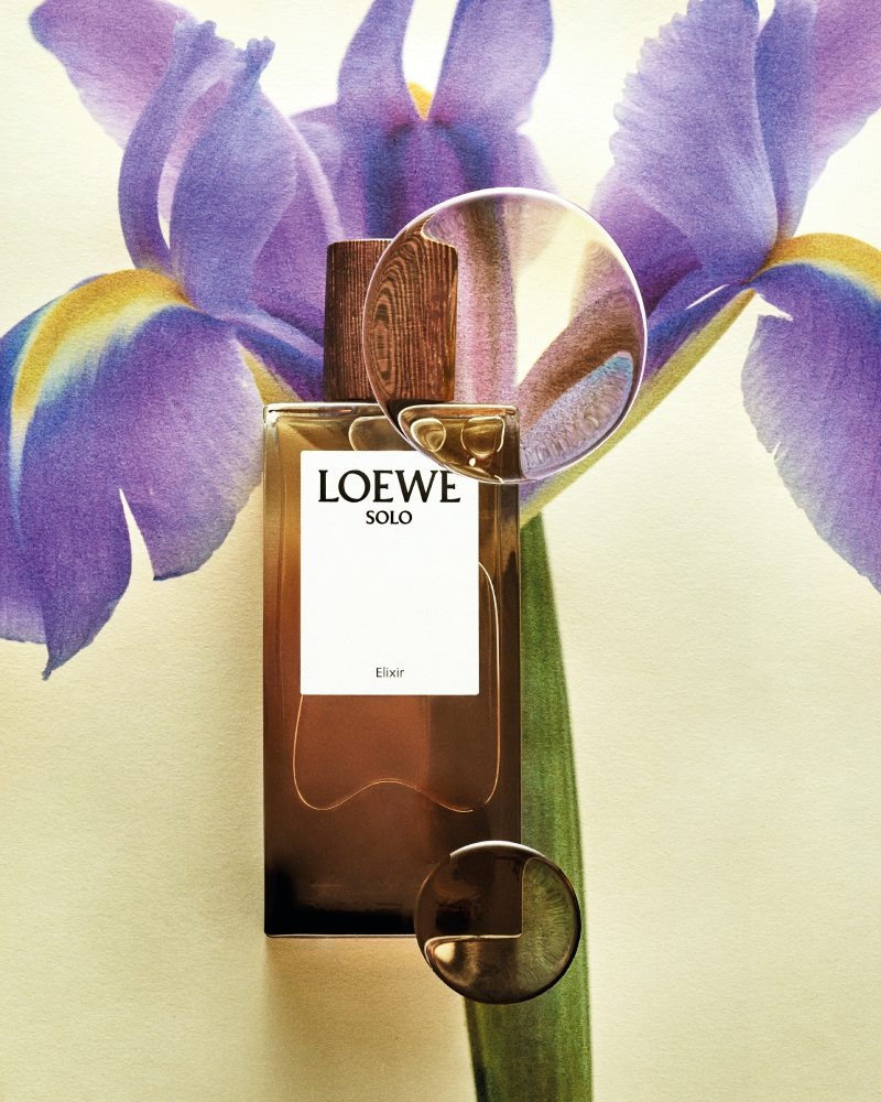 Mejores perfumes de Loewe