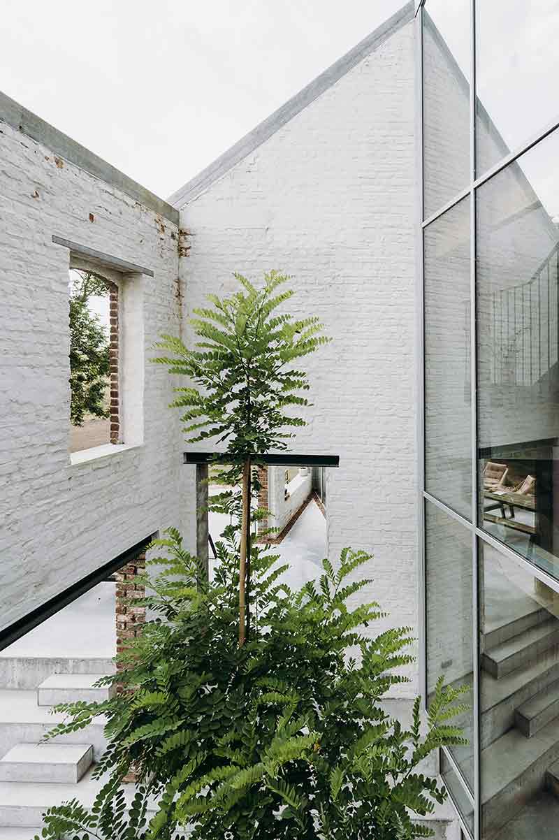 Patio interior de Casa Lyco, proyectado por Oyo Architects, con vegetación integrada y muros originales abiertos a la luz