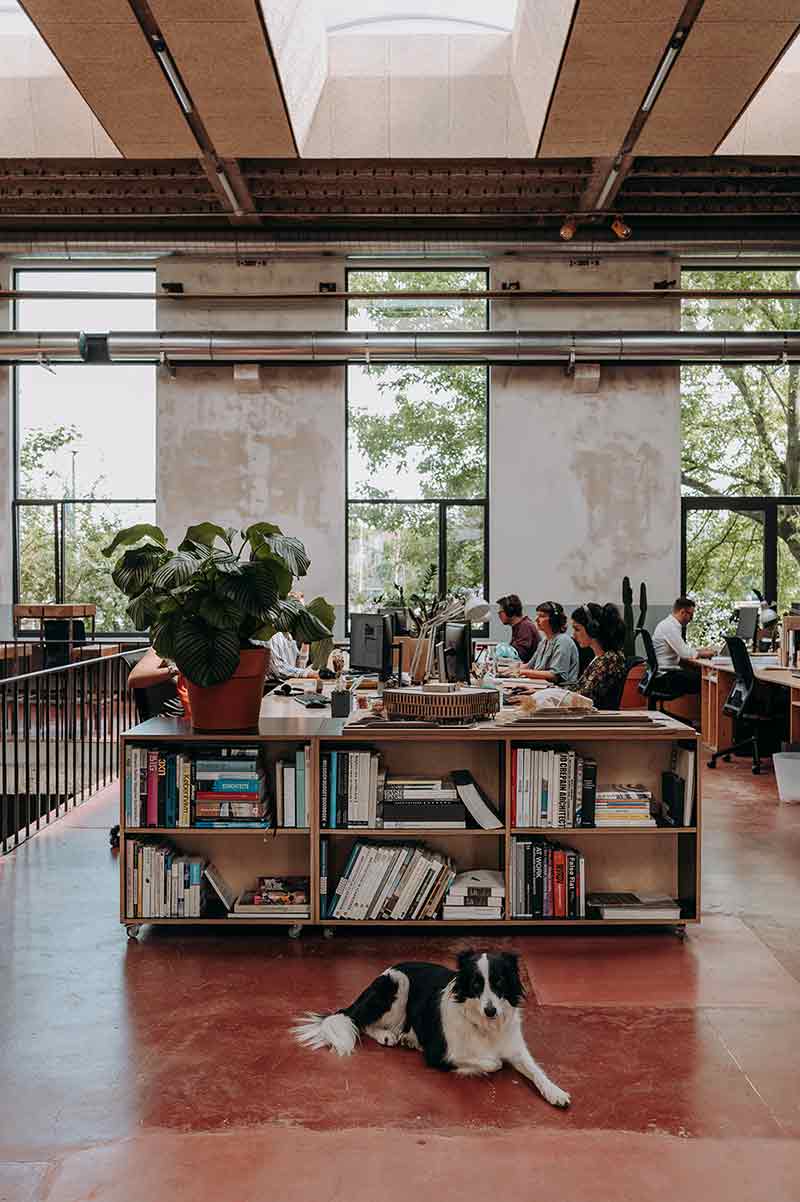 Espacio de trabajo de Oyo Architects, con luz natural, mobiliario técnico y equipo en actividad dentro del estudio