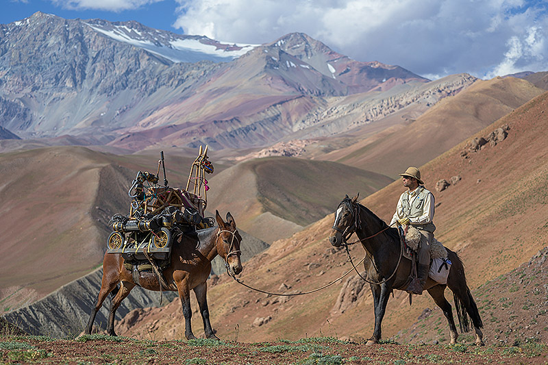 Imagen de un dos caballos en el desierto cargando tecnología