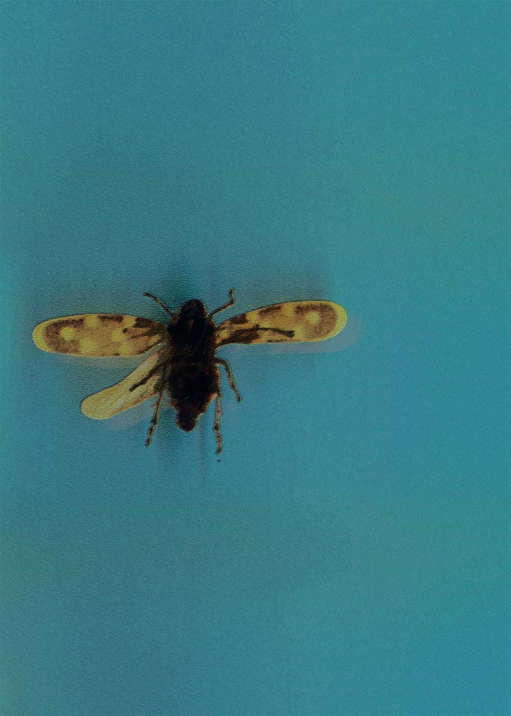 fotógrafos emergentes moda españa marcel betlinski