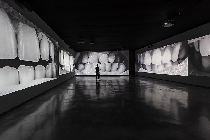 Vista general de la exposición