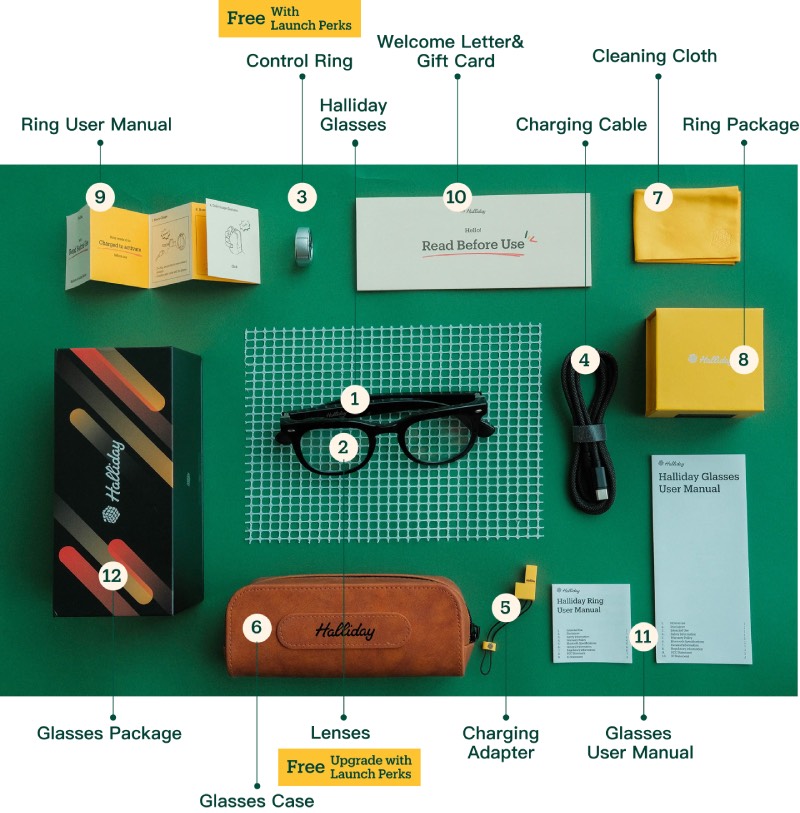 Halliday Glasses: las Halliday Glasses en el centro sobre un tablero verde en el que aparecen todos los accesorios que incluyen.
