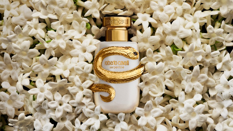 nuevo perfume roberto cavalli aroma floral serpiente