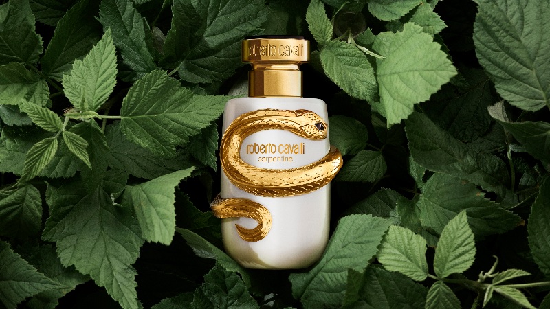 nuevo perfume roberto cavalli aroma floral serpiente