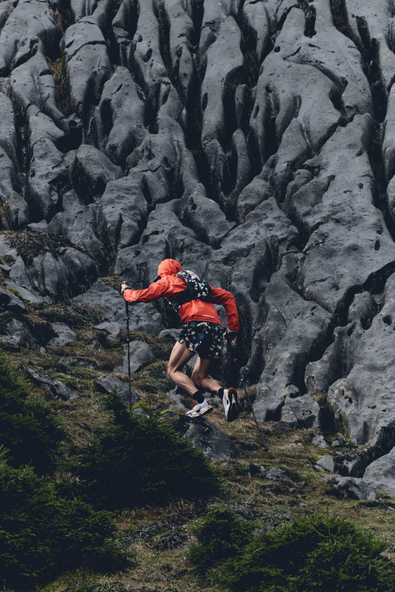 The north Face nueva colección Summit Series Flora Alpina