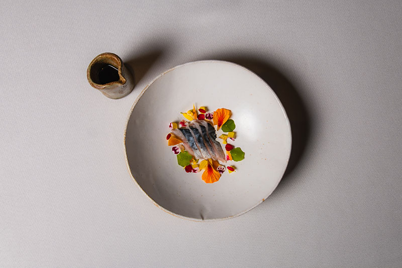 Aleix Serra y Marc Marsol, al frente de Fusion19: Botánico