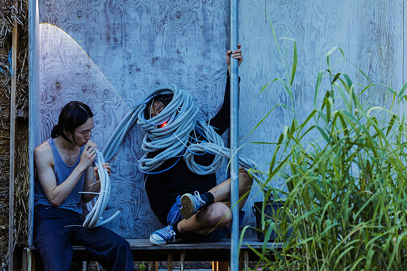 Berln Art Week 2025, coleccion haubrok