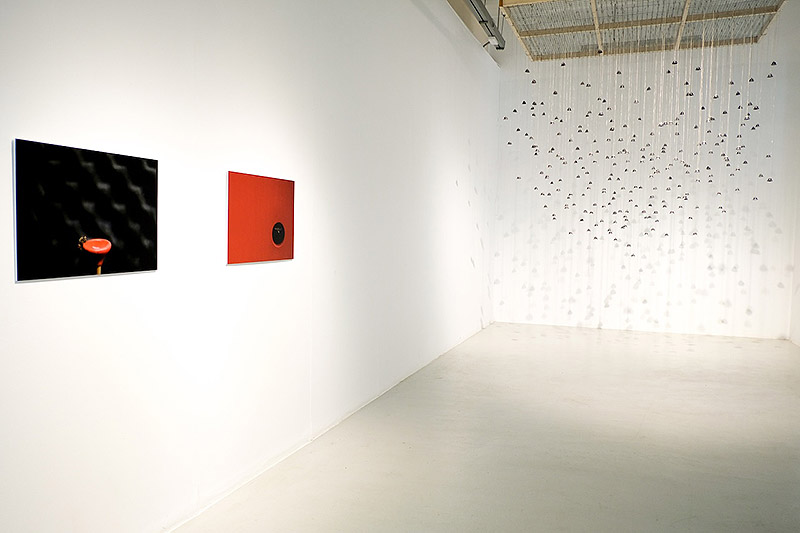 Vista de la exposición